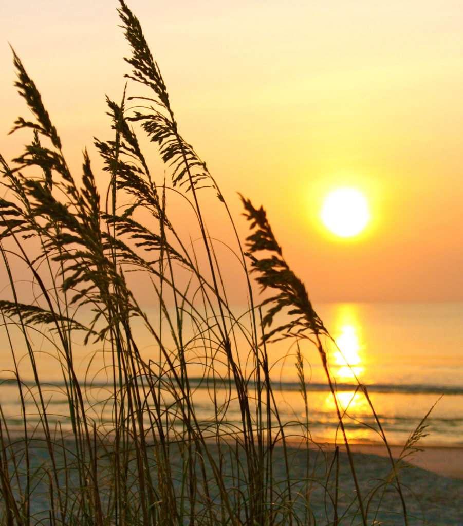 Ocean Coast Hotel At The Beach Fernandina Beach Facilities photo